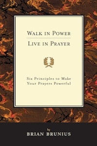 Cover of Walk in Power, Live in Prayer by Brian Brunius