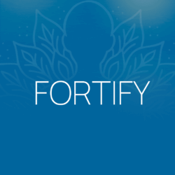 Graphic reading "FORTIFY" at the NYC Reiki Center with Brian Brunius