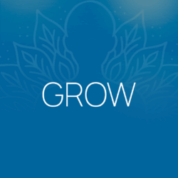 Graphic reading "GROW" at the NYC Reiki Center with Brian Brunius