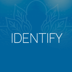 Graphic reading "IDENTIFY" at the NYC Reiki Center with Brian Brunius